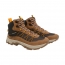 BOTA BRADOCK ALPES HAVANA