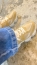 SNEAKER FEMININO BY BRAVA DOLCE/NIQUEL