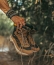 BOTA BRADOCK ALPES HAVANA